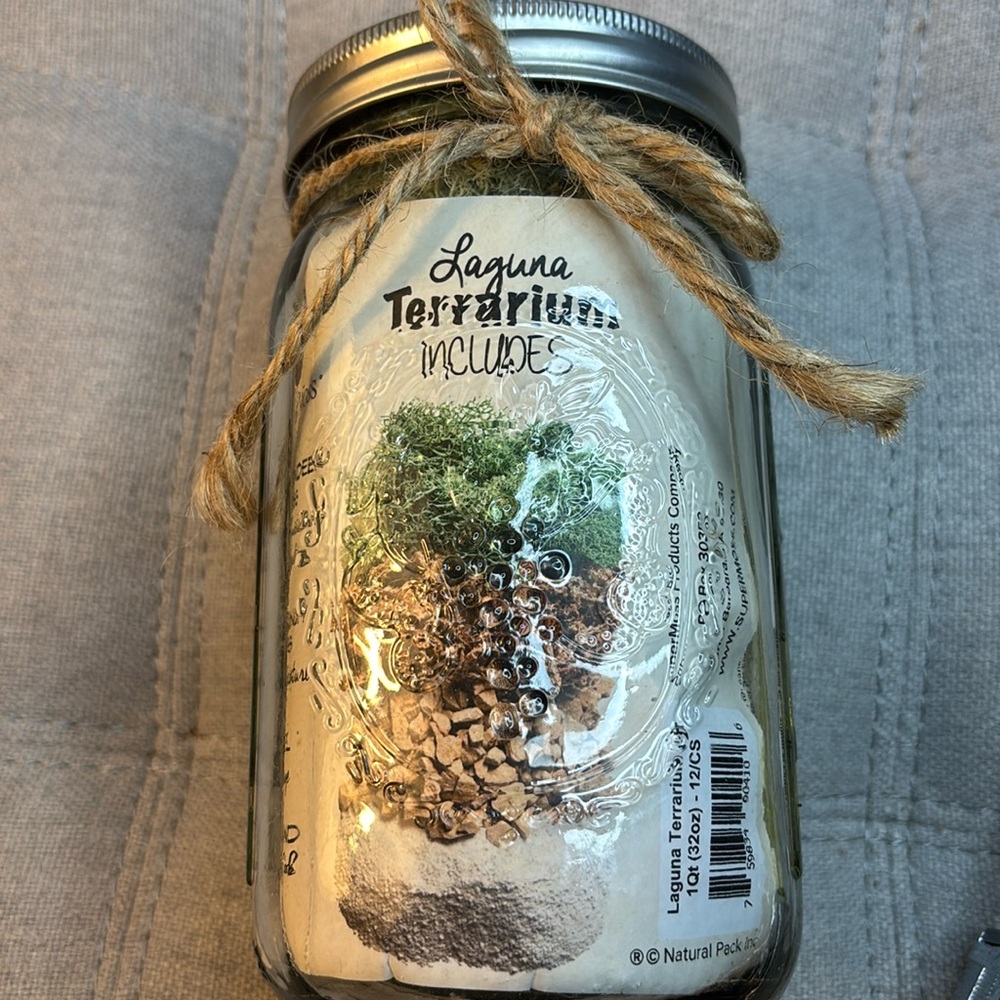 Terrarium Kit
